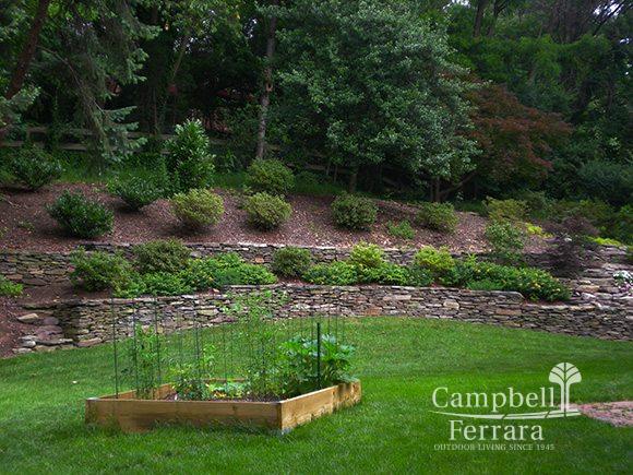 garden backyard alexandria va