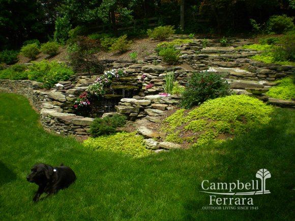 backyard greenscape and garden alexandria va