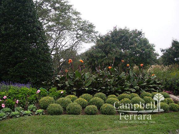 greenscape garden and plants alexandria va