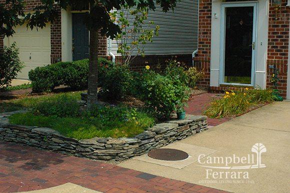 garden and plant greenscape alexandria va