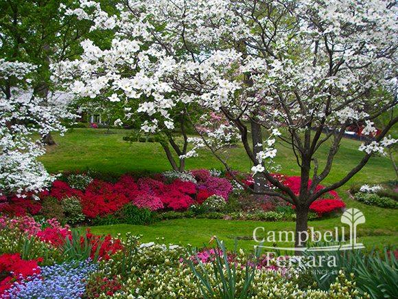 flowers and greenscape alexandria va