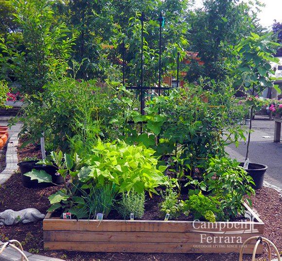 garden center alexandria va