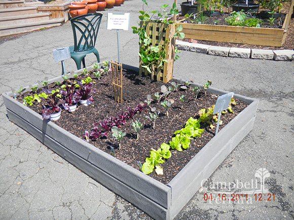 flower garden alexandria va