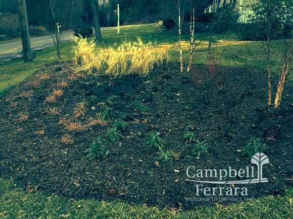 sustainable garden alexandria va