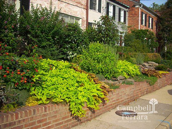 garden and brick wall alexandria va