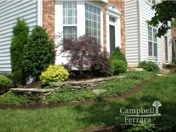 wall for greenscape alexandria va green plants