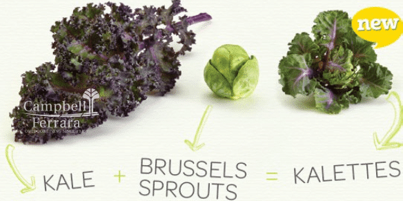 brussels sprouts and kale