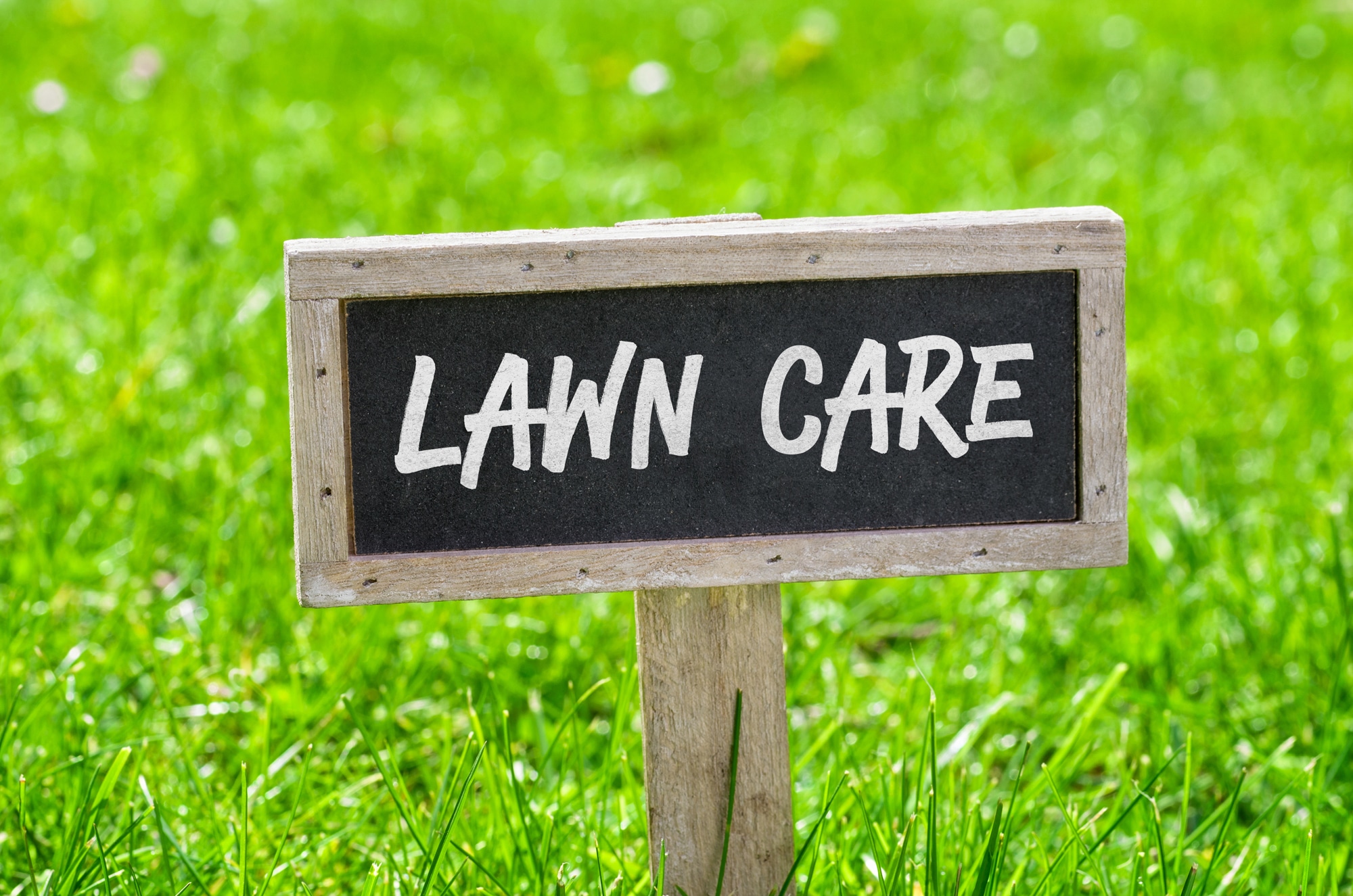 Spring lawn care tips