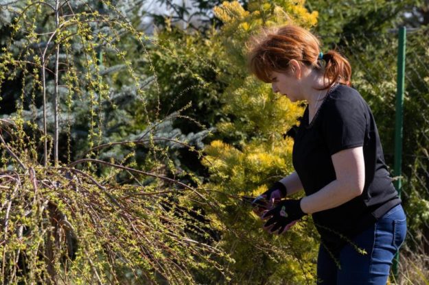 A woman preparing the garden for winter Woman working in the garden