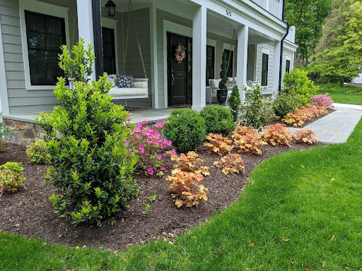 Best fall gardening ideas for your backyard