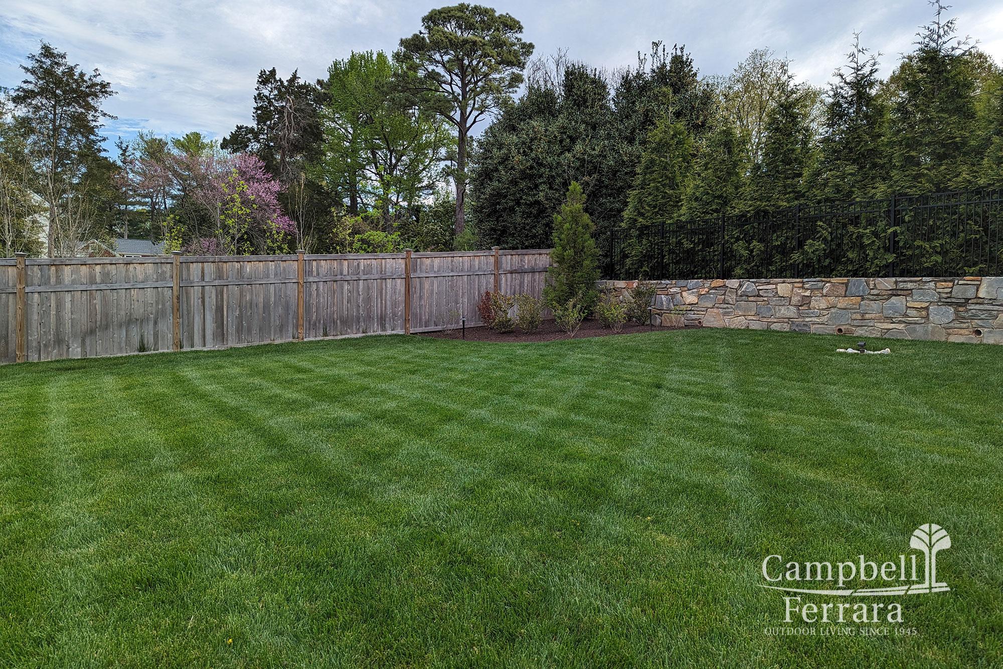 Phased_in_Landscape_Phase_2-3-After-A