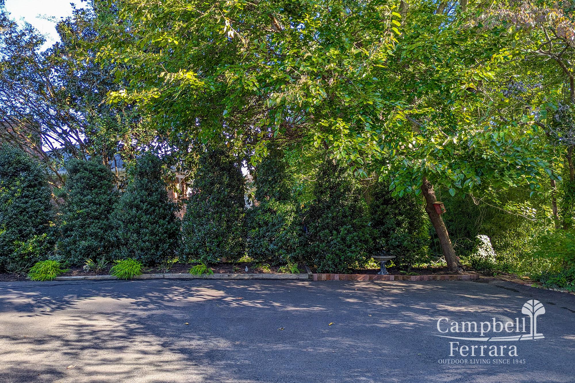 Four-Season_Landscape-10-After