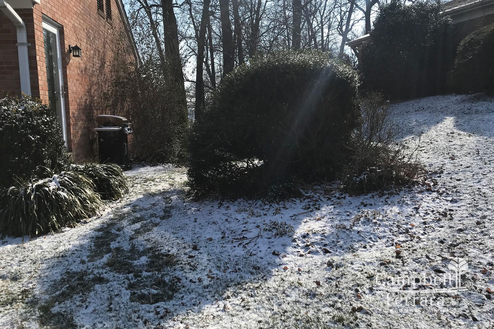 Four-Season_Landscape-5-Before