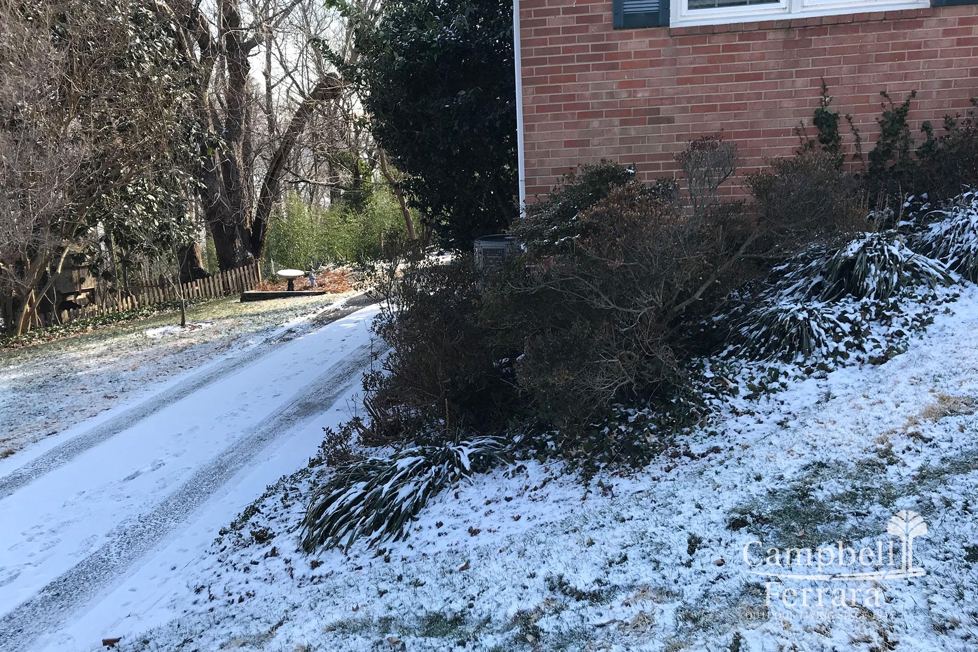 Four-Season_Landscape-8-Before