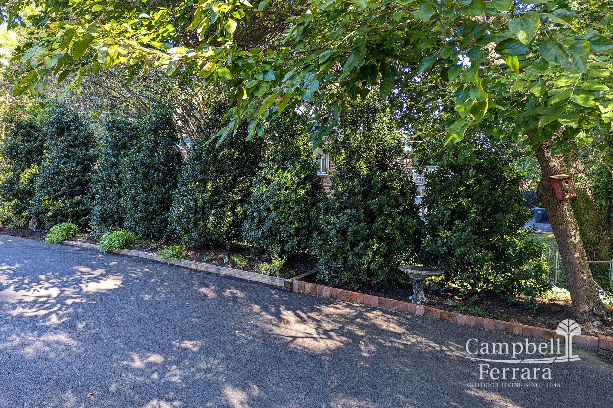 Four-Season_Landscape-9-After