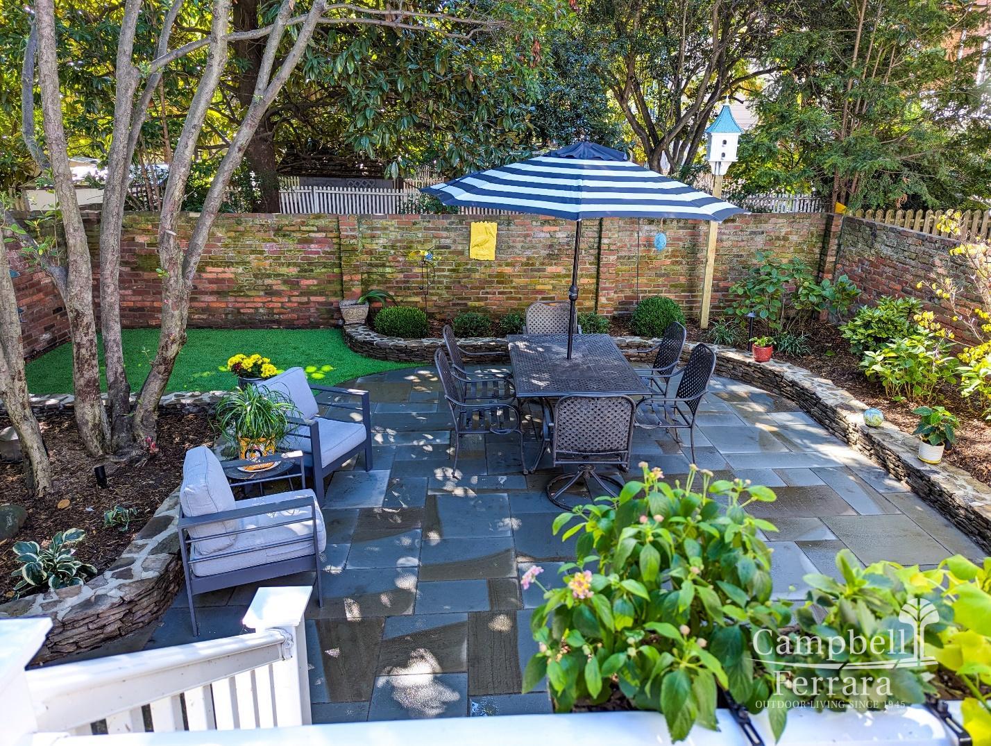 Low-Maintenance Plants Landscape experts