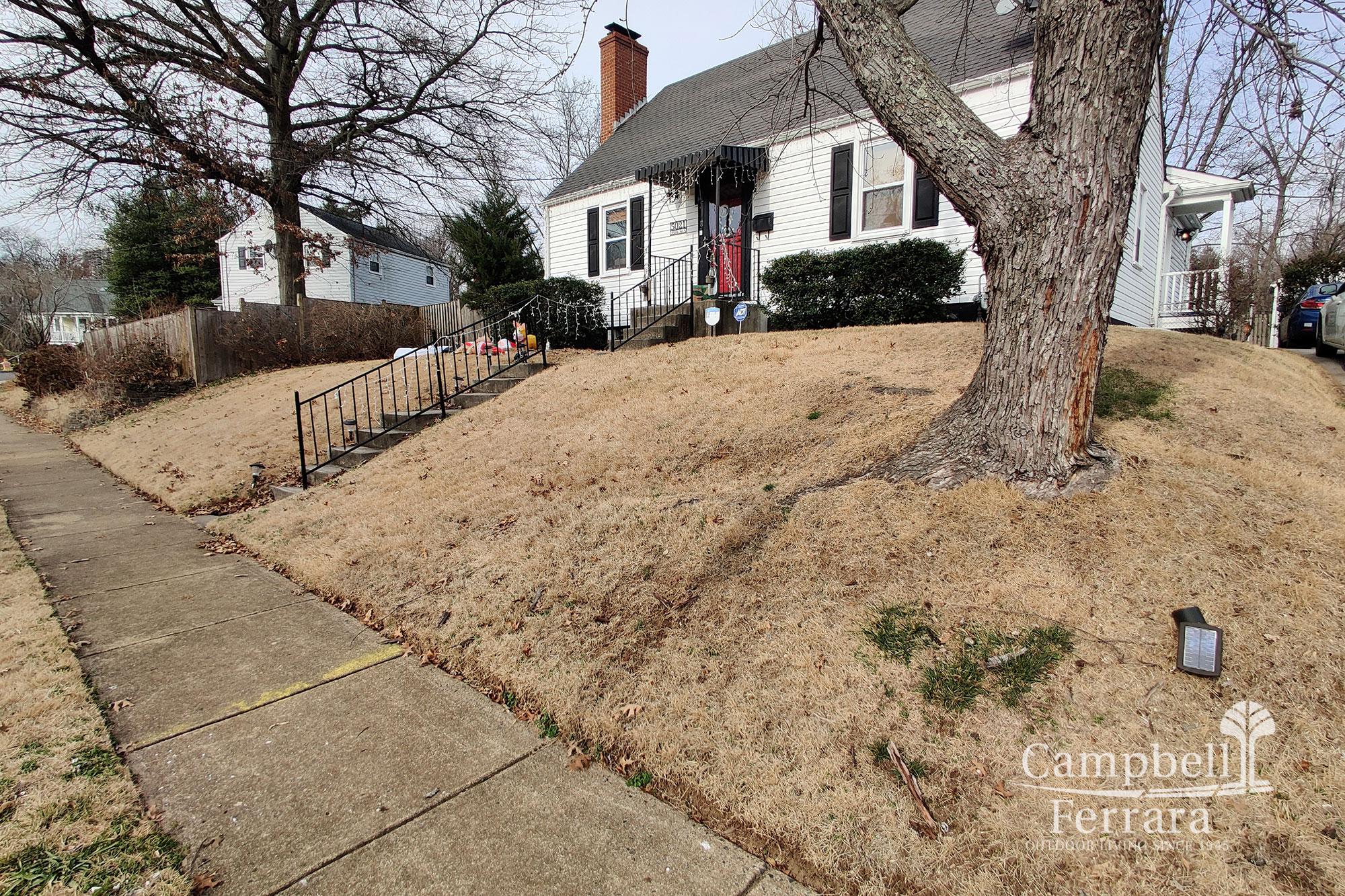 Expanded Outdoor Environment 5—Before